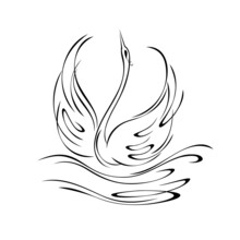 Swan 47. Stylized Graceful Swan Floating On The Water. Graphic Illustration In Black Lines On A White Background