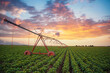 Agricultural irrigation system
