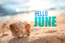 Hello June. Beautiful Sea Shell On Sandy Beach