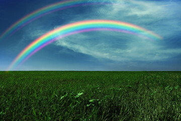  Picturesque view of green meadow and beautiful rainbows in blue sky on sunny day