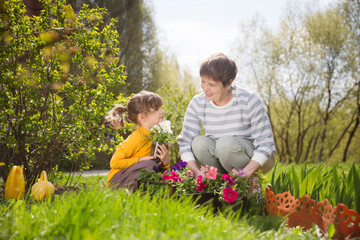 Wall Mural - Spring awakening. Slow life. Enjoying the little things. Dreaming of spring. grandmother and child granddaughter plant flowers near the house. Child girl help grandmother work in the garden.