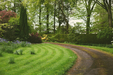 Wall Mural - beautiful green landscape in spring