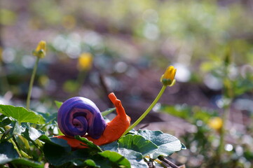 Sticker - Snail figurine made of plasticine on a background of wild flowers.