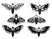 Set Of Stylized Moth With Skull. Collection Of Death's Head Hawk Moth. Mystical Tropical Insects. Butterfly With Gothic Symbol. Tattoo. Vector Illustration Of Flying Scary Insects. 
