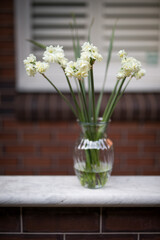 Wall Mural - Flowers in bloom