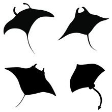 Stingray Icon Vector Set. Slope Illustration Sign Collection. Sea ​​life Sign Or Symbol.