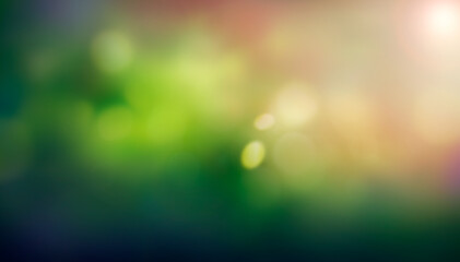 Wall Mural - a summer sunset, sunrise background with lush green foliage and orange pink glow sky with blurred sp