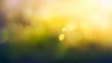 A Summer Sunset, Sunrise Background With Lush Green Foliage And Orange Glow Sky With Blurred Spring Bokeh Highlights.