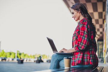 Poster - Profile side view portrait of attractive skilled focused girl using laptop writing email spending sunny day outdoors