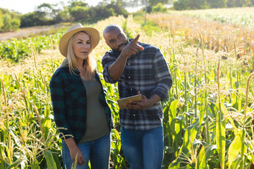 African american man holding digital pc gesturing while discussing with caucasian woman in farm