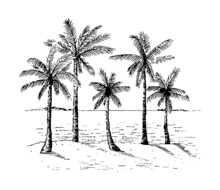 Palm Trees On The Sea Coast. Hand Drawn Sketch. Perfect For Postcard