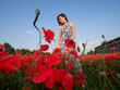 © Stocked House Studio - Beautiful girl posing in poppy field on sunny day