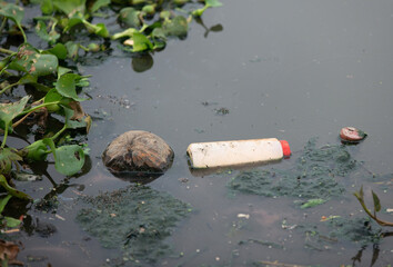 View of rubbish in a river - environmental pollution concept