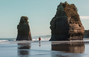 Wall Mural - Cathedral beach