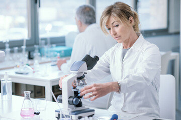 Wall Mural - medical researcher working in the lab