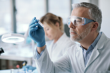 Wall Mural - professional researcher holding a test tube