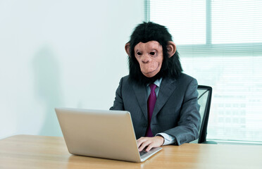 Businessman with head of monkey using laptop at his office desk