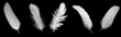 Leinwandbild Motiv white feather of a goose on a black background
