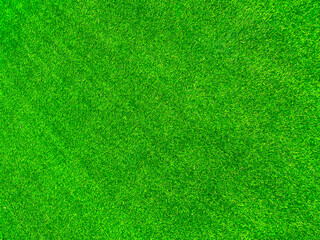 Green grass texture background grass garden concept used for making green background football pitch, Grass Golf, green lawn pattern textured background..