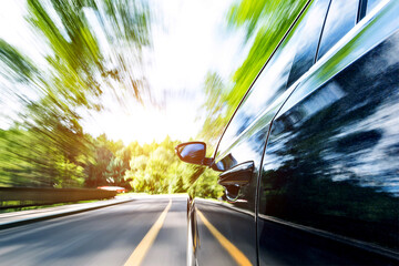 Poster - Car in motion blur driving in the forest