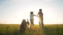 Happy Cheerful Family. Children Have Fun Running On Green Grass In Park With Dog. Girl And Boy Are Play In Field In The Spring With Dog. Love For Pet. Children Run With Dog At Sunset In Summer.