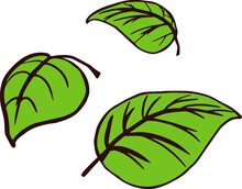 Set Of Green Leaves Simple Doodle For Decor