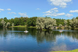 Fototapeta Krajobraz - vacationers ride a boat on a forest lake against the backdrop of a park and blue sky