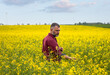 © Zoran Zeremski - Middle age farmer standing in rapeseed field examining crop.