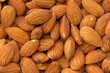 Large Handful of Shelled Almonds, Packed in Many, Beautiful Colors and Textures