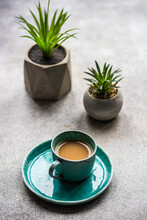 Cup Of Coffe With Milk And Succulents