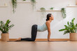 © 220 Selfmade studio - Calm of Athletic Asian woman in sportwear practice yoga Cat Cow pose to breathing and meditation at home,Healthy woman doing yoga so comfortable and relax,Wellness Yoga Healthcare Concept