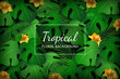 Trendy green Tropical leaves and plants background