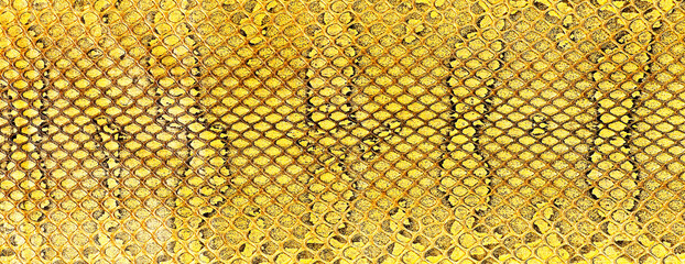 Canvas Print - Yellow snake skin texture, as background. Natural reptile leather.