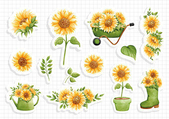 Wall Mural - watercolor sunflower sticker, vector illustration