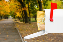 White Vintage Mailbox With Letter, Gift And Flowers In Autumn Park