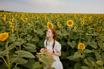 Wall Mural - woman with two pigtails in a field of sunflowers lifestyle countryside