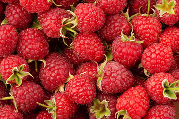 Wall Mural - Raspberries background. Closeup ripe raspberries macro shot