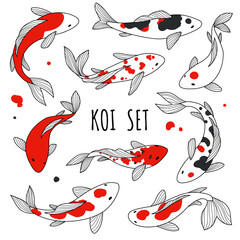 Vector koi set. Hand drawn collection