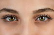 Close up, macro photo of o female color eye, iris, pupil, eye lashes, eye lids.