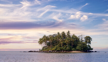 Small tropical island with coconut palm trees and sand beach.