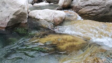 Wall Mural - clear mountain stream