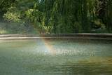 Fototapeta Tęcza - tęcza w fontannie w parku