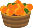 Ripe oranges in basket isolated on white background
