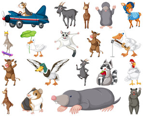 Sticker - Set of different kids of animals