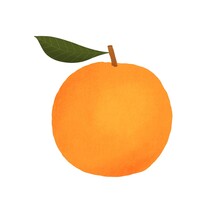 Orange Illustration On White Background. Fruit. Design For Recipes, Menus, Food Shop And More. 