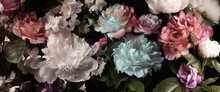 Peonies And Roses On A Black Background, Vintage Wallpaper, Studio Shot.
