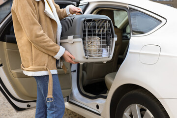 woman holding carrier with cute scottish fold cat near car outdoors, closeup