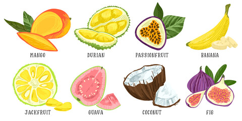 Wall Mural - Set of exotic fruits, mango durian passion fruit