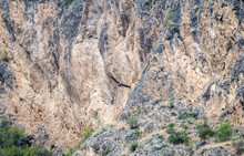 Caucasian Mountain Eagles Soar In The Sky And Rest On Sheer Cliffs