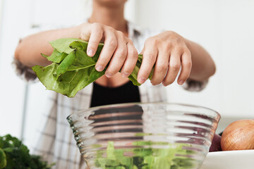 Wall Mural - Female hands tearing lettuce into bowl for vegetarian salad